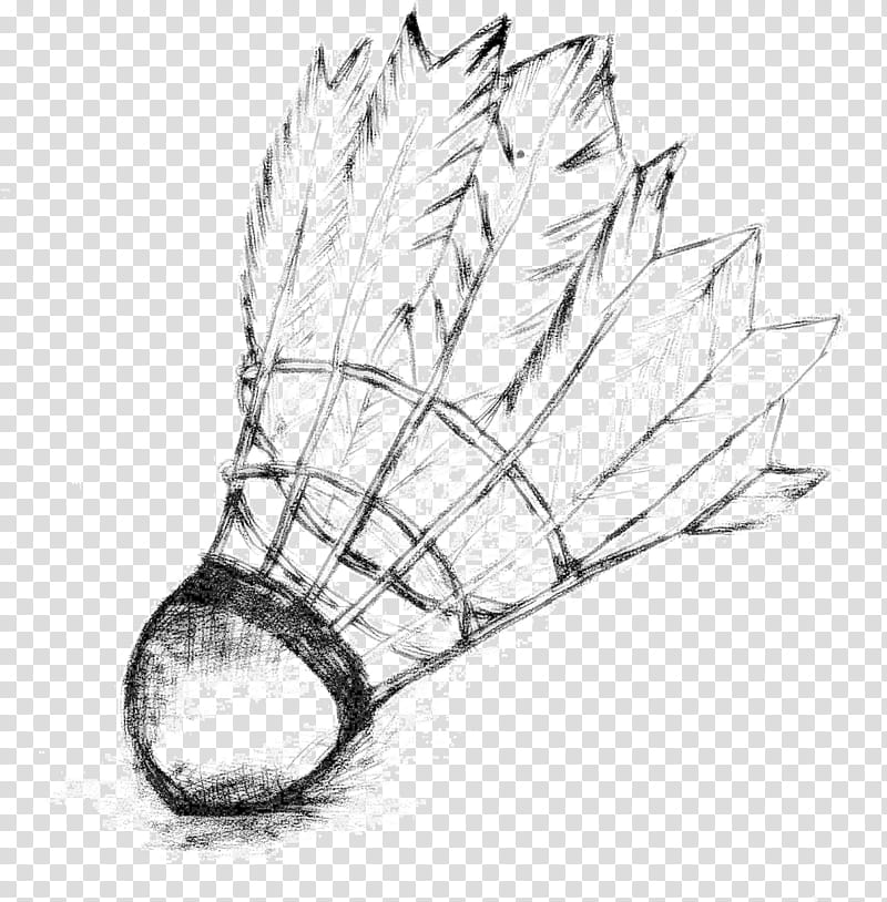 Badminton, Shuttlecock, Badminton Racquet, Drawing, Racket, Sports, Ball, Leaf transparent background PNG clipart