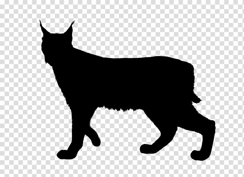 Cat Silhouette, Ocelot, Lynxes, Small To Mediumsized Cats, Black Cat, Tail, Whiskers, Snout transparent background PNG clipart