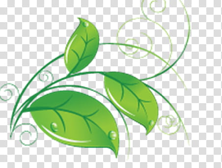Mini de Recursos, three green leaves transparent background PNG clipart