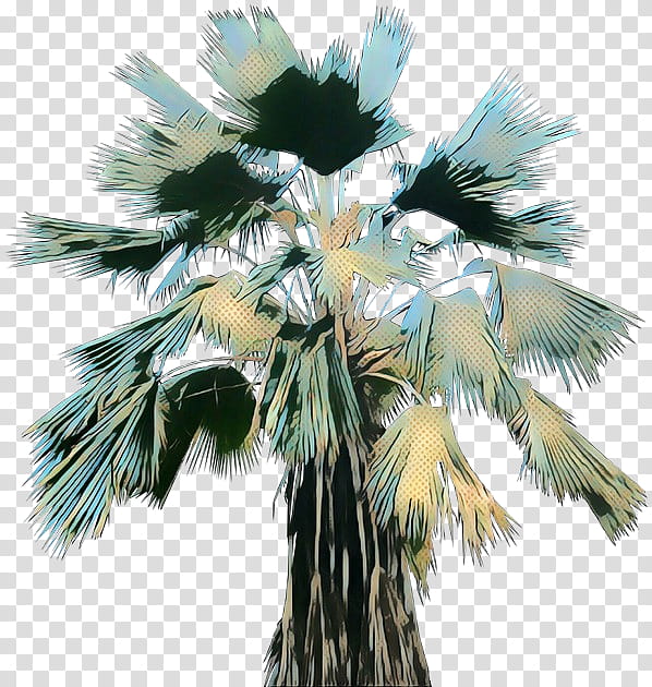 Date Tree Leaf, Pop Art, Retro, Vintage, Asian Palmyra Palm, Coconut, Palm Trees, Date Palm transparent background PNG clipart