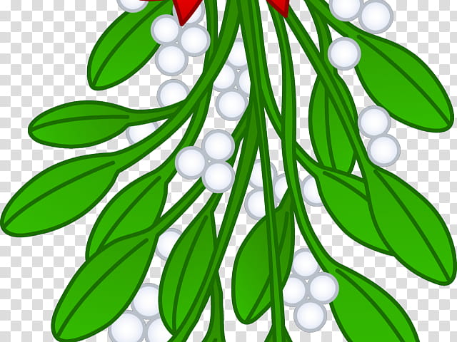 Christmas Tree Illustration, Mistletoe, Drawing, Christmas Day, Christmas Mistletoe, Cartoon, Leafy Mistletoes, Viscum Album transparent background PNG clipart
