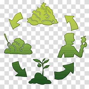 Green Leaf Watercolor, Paint, Wet Ink, Frog, Compostage, Tree, Facebook, Project transparent background PNG clipart thumbnail