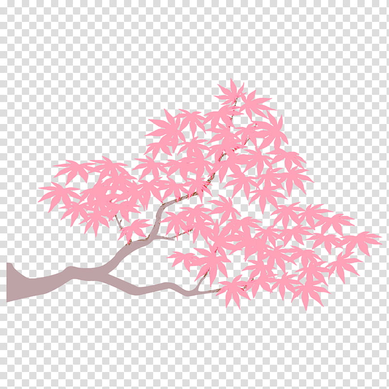 maple branch maple leaves autumn tree, Fall, Pink, Leaf, Plant, Woody Plant, Twig, Flower transparent background PNG clipart