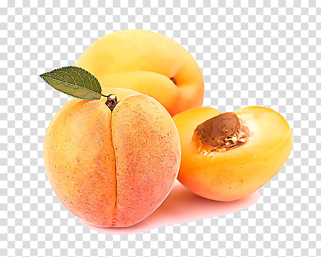 european plum peach fruit food apricot, Apricot Kernel, Plant, Yellow Plum transparent background PNG clipart