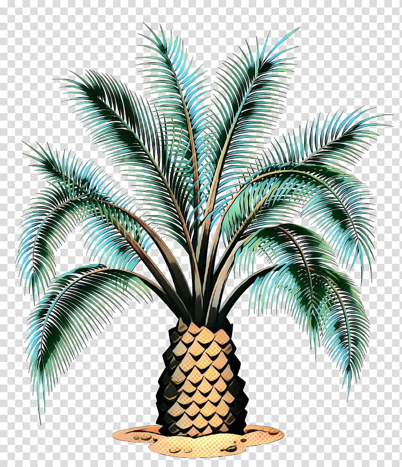 Palm Tree Drawing, Palm Trees, Cartoon, Plant, Arecales, Leaf, Terrestrial Plant, Woody Plant transparent background PNG clipart