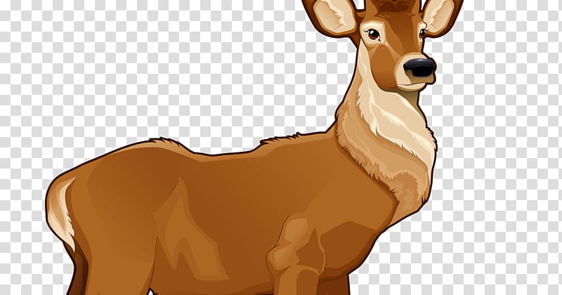 Bear, Reindeer, Rudolph, Wolf, Internet Meme, Wildlife, Antelope, Fawn transparent background PNG clipart