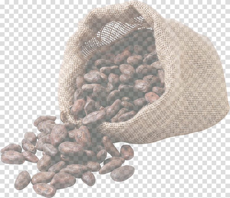 bean plant common bean transparent background PNG clipart