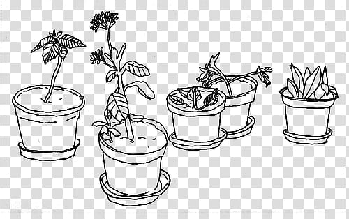 Pale s, potted plants illustration transparent background PNG clipart