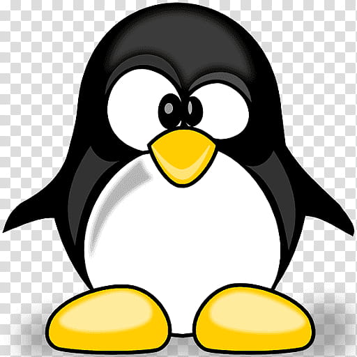 Penguin, Cartoon, Bird, Tux Racer, Animal, Humour, Sticker, Flightless Bird transparent background PNG clipart