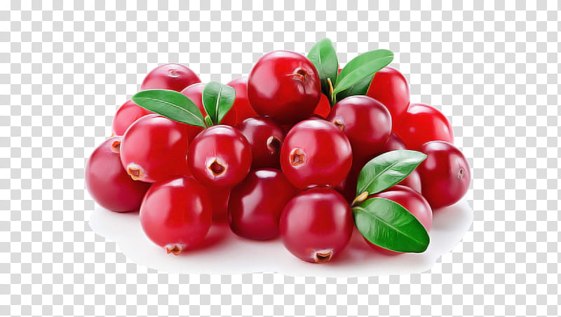 food natural foods fruit berry plant, Lingonberry, Cranberry, Superfood, Arctostaphylos Uvaursi, Cherry transparent background PNG clipart