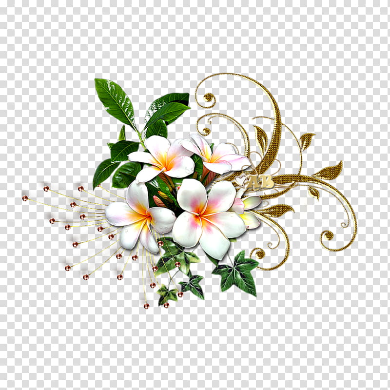 Flowers, Floral Design, Flower Bouquet, Petal, Cut Flowers, Flores De Corte, Blog, Rose transparent background PNG clipart