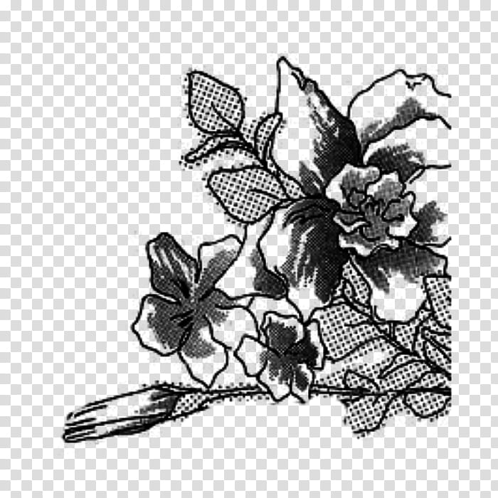 black and white flower art transparent background PNG clipart