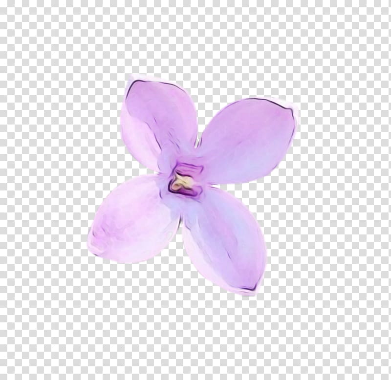 violet petal purple flower lilac, Watercolor, Paint, Wet Ink, Pink, Plant, Moth Orchid, Flowering Plant transparent background PNG clipart