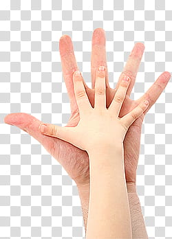 hands, two person hands transparent background PNG clipart