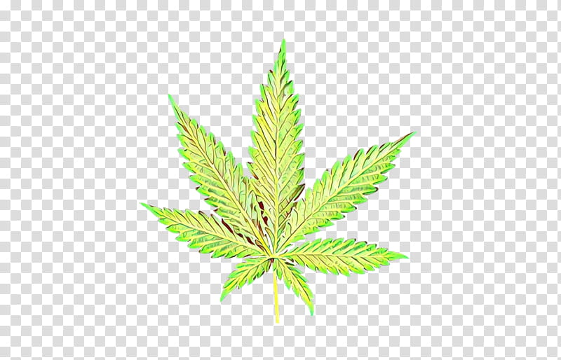 Weed, Cartoon, Leaf, Green, Plant, Hemp Family, Flowering Plant, Grass transparent background PNG clipart