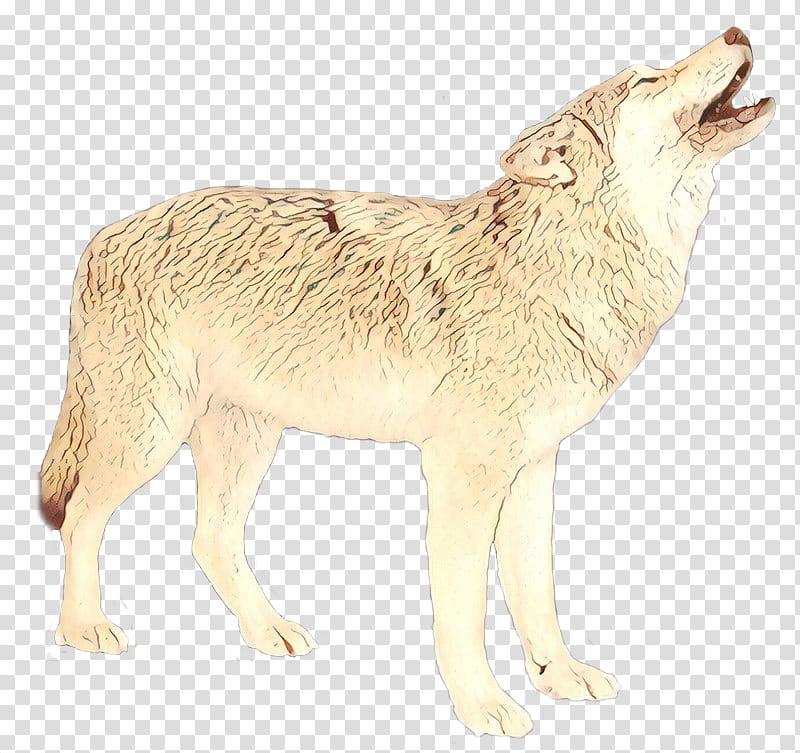 Wolf Drawing, Alaskan Tundra Wolf, Coyote, Jackal, Fur, Animal, Canis, Dog transparent background PNG clipart