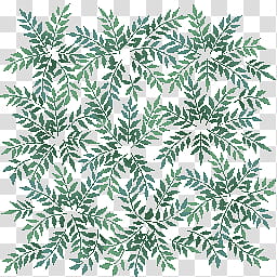 Stages, green foliage transparent background PNG clipart