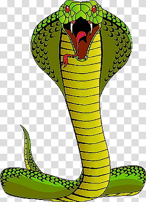 cobra snake drawing