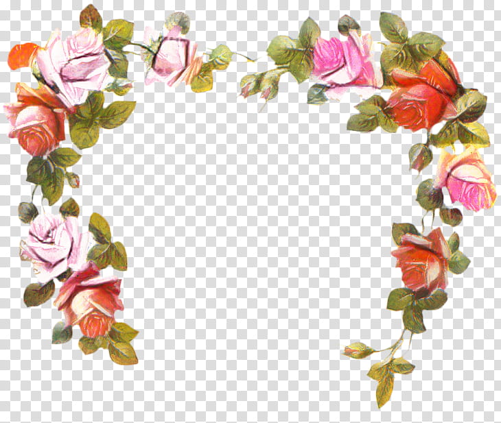 Background Womens Day, Garden Roses, Flower, Cut Flowers, Petal, Angel, Floristry, International Womens Day transparent background PNG clipart