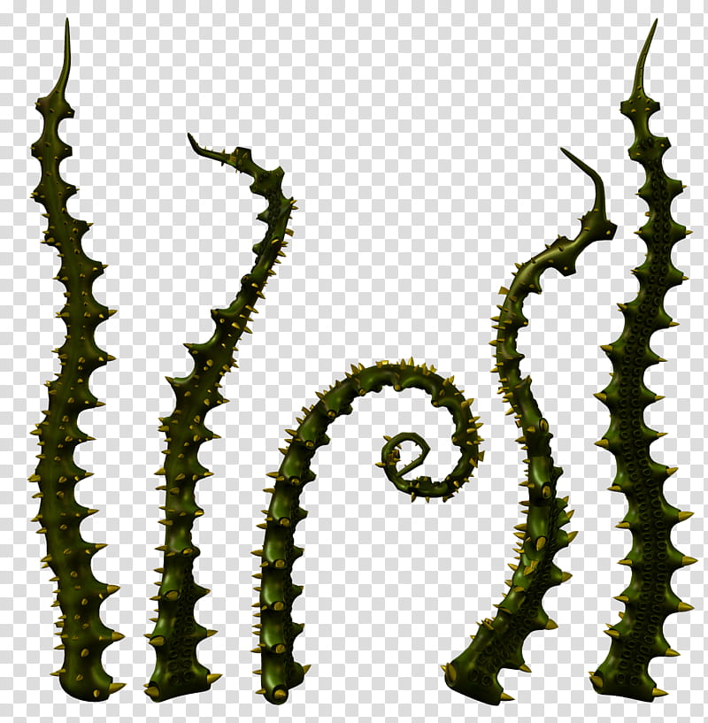 tentacles, green and yellow plant with thorns illustration transparent background PNG clipart
