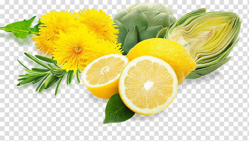 Lemon Flower, Oxidative Stress, Food, Freeradical Theory Of Aging, Vegetarian Cuisine, Vitamin, Citric Acid, Natural Foods transparent background PNG clipart