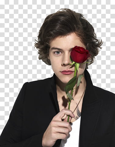 Harry Styles transparent background PNG clipart