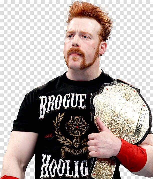 Sheamus Alma Editions transparent background PNG clipart