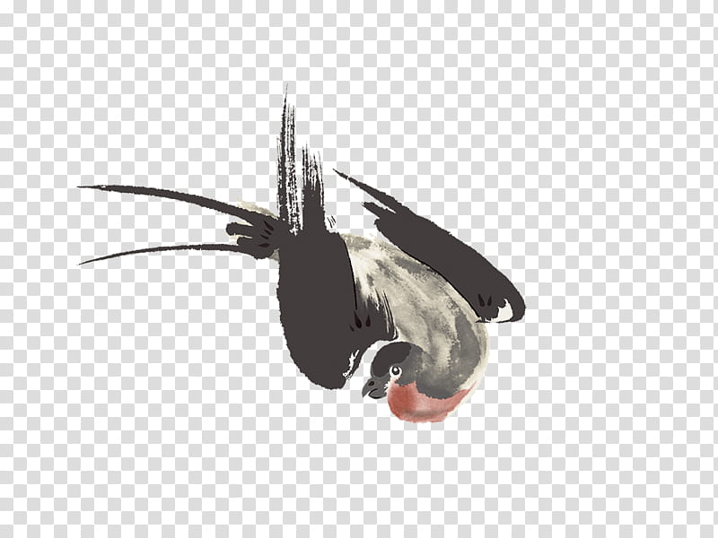 Chinese style , white and black bird art transparent background PNG clipart