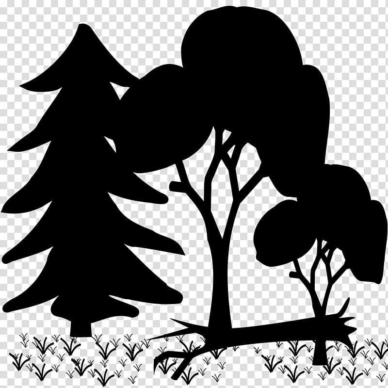 Family Tree Silhouette, Forest, Drawing, Temperate Broadleaf And Mixed Forest, Branch, Blackandwhite, Plant, Stencil transparent background PNG clipart