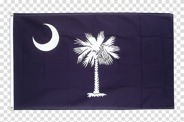 Modern, South Carolina, North Carolina, Flag Of South Carolina, Flag Of North Carolina, State Flag, Modern Display Of The Confederate Flag, Valley Forge Flag transparent background PNG clipart