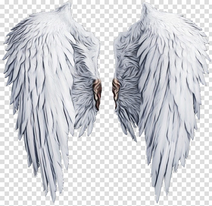 Silver, Angel, Demon, Drawing, Angel Wing, Feather, Outerwear, Fur transparent background PNG clipart