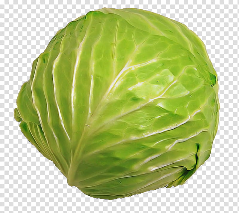 cabbage iceburg lettuce vegetable wild cabbage savoy cabbage, Plant, Leaf Vegetable, Food transparent background PNG clipart