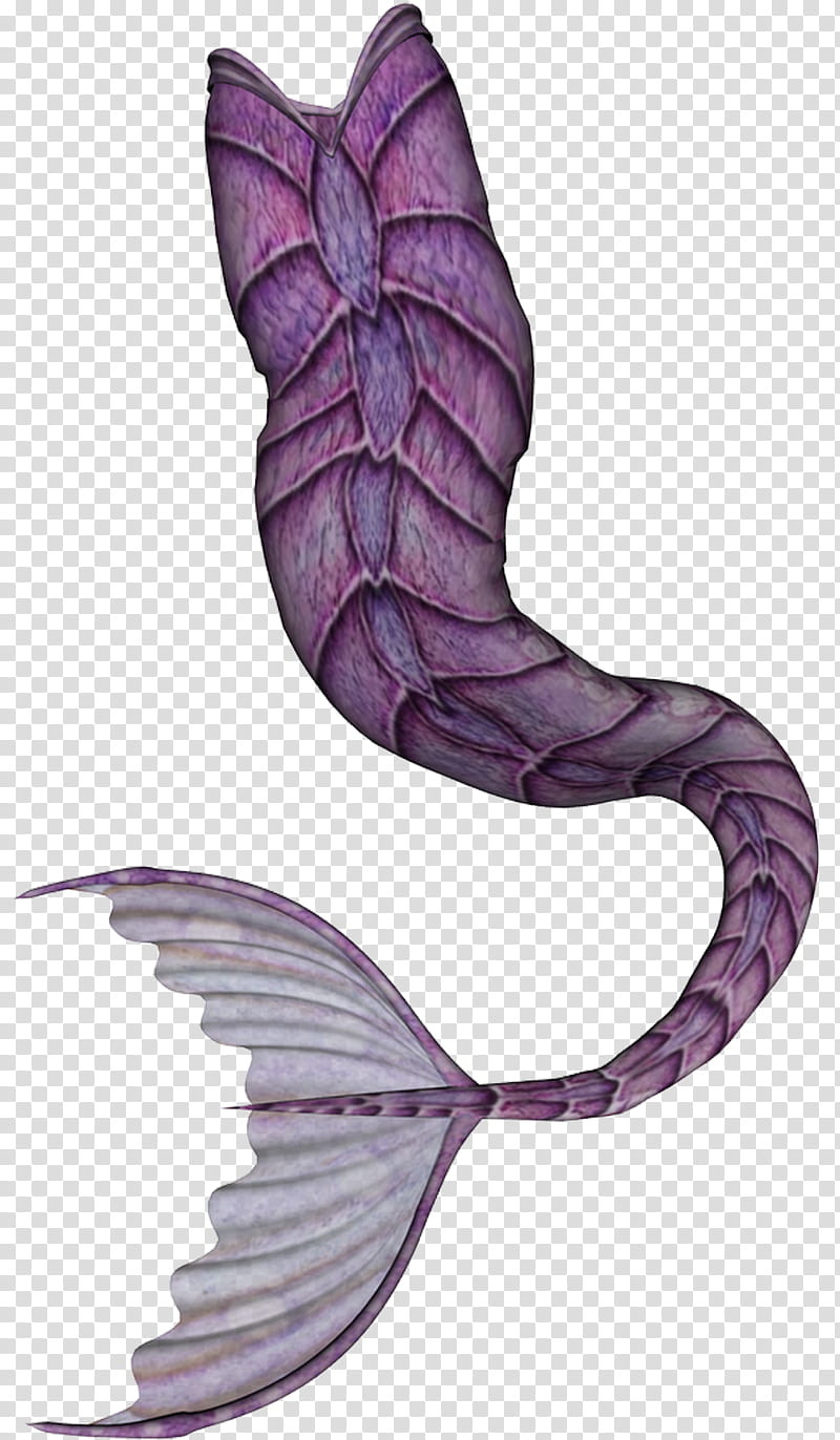 Polyvore, mermaid, tutorial, editing, Digital Media, media, fantasy, tail,  wing, drawing | Anyrgb