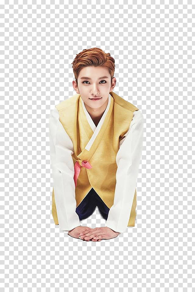 men's brown and white traditional Korean suit transparent background PNG clipart