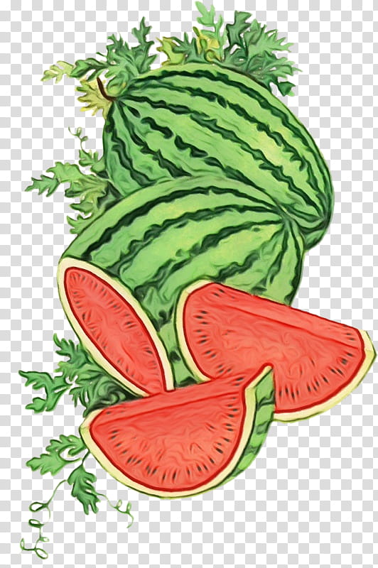 Watermelon, Greens, Food, Turnip, Cucumber, Collard, Tomato, Zucchini transparent background PNG clipart