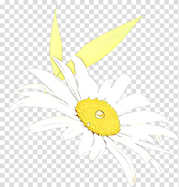 sunflower, Yellow, Plant, Camomile, Feather transparent background PNG clipart