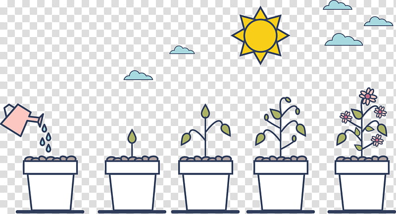 Phases Line, Diagram, Plant transparent background PNG clipart