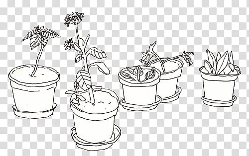 Full, black ink drawing of potted plants transparent background PNG clipart