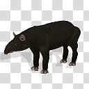 Spore creature Baird tapir transparent background PNG clipart