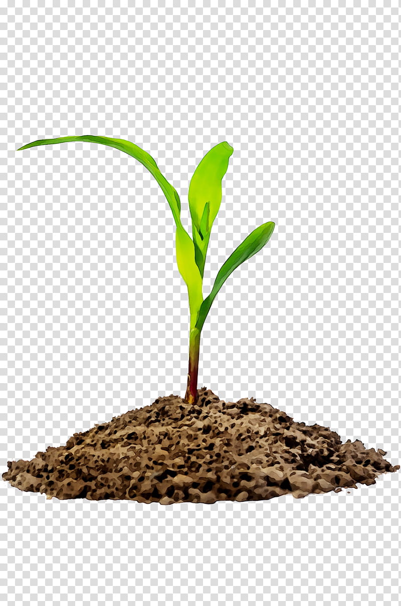 Cartoon Nature, Agriculture, Soil, Mud, Natural Resource, Natural Environment, Crop, Agriculturist transparent background PNG clipart