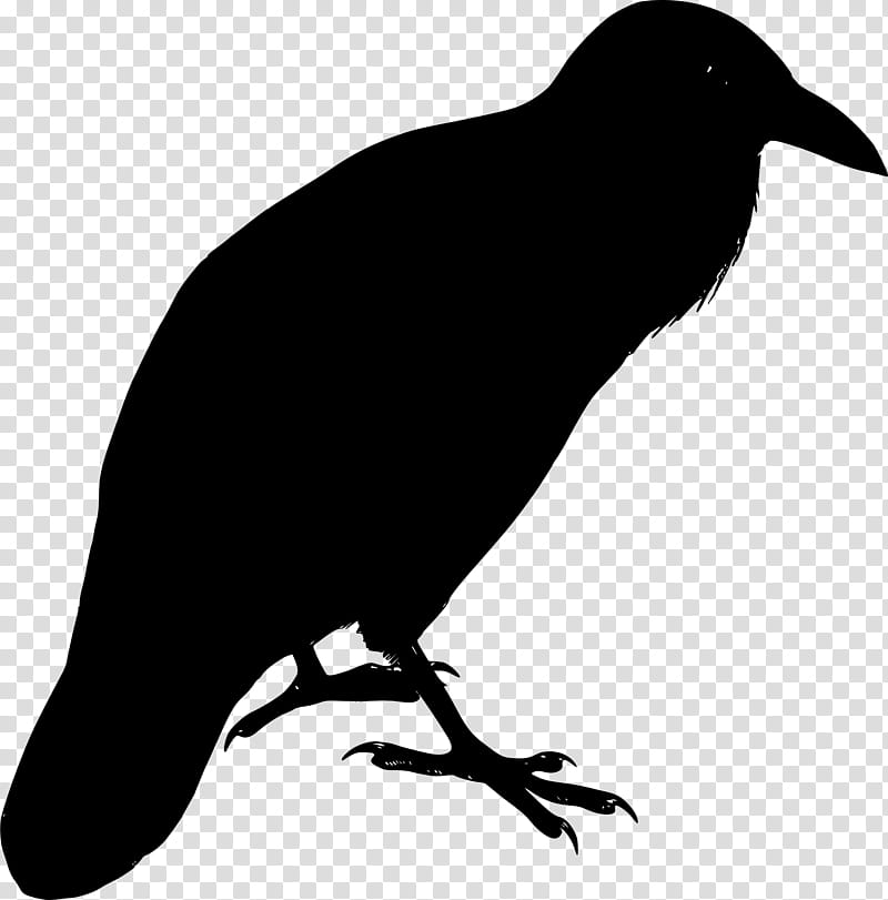 Bird Silhouette, American Crow, New Caledonian Crow, Common Raven, Beak, Crowlike Bird, Perching Bird, Fish Crow transparent background PNG clipart