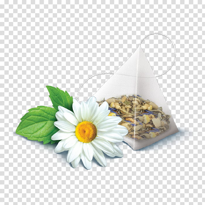 Medicine, Camomile, Chamomile, Flower, Mayweed, Plant, Chrysanthemum Tea, Petal transparent background PNG clipart