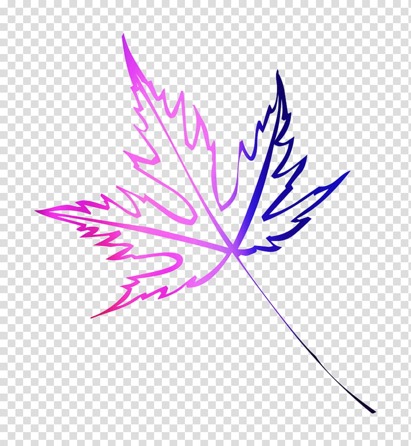 Red Maple Tree, Maple Leaf, Autumn Leaf Color, Violet, Purple, Pink, Plant, Line transparent background PNG clipart