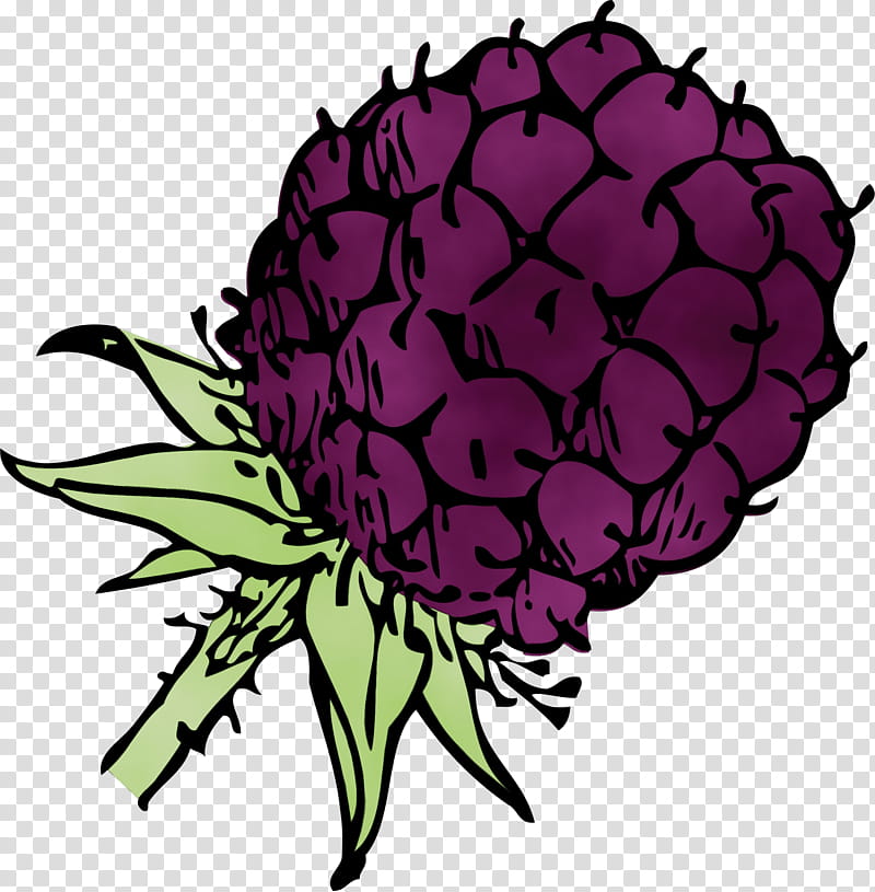 plant violet artichoke flower magenta, Watercolor, Paint, Wet Ink transparent background PNG clipart