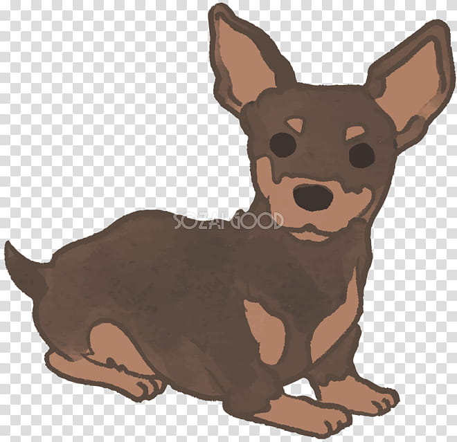 Dog Paw, Miniature Pinscher, Prague Ratter, Ormskirk Terrier, Chihuahua, Puppy, Companion Dog, Breed transparent background PNG clipart