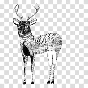 various V, black and white deer illustration transparent background PNG clipart