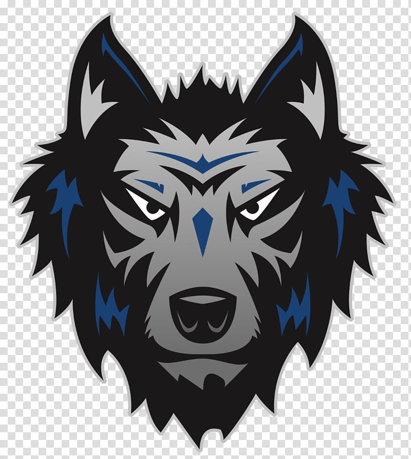 School Drawing, School
, Minnesota Timberwolves, Middle School, National Primary School, School District, Bethany, Illinois transparent background PNG clipart