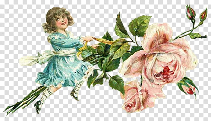 To My Dear Friends s, girl holding pink rose flower transparent background PNG clipart