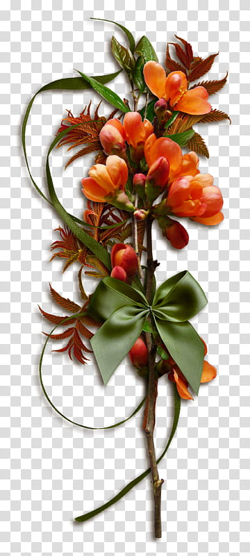 Bouquet Of Flowers, Autumn, BORDERS AND FRAMES, Flower Bouquet, Blog, Frames, 2018, Plant transparent background PNG clipart