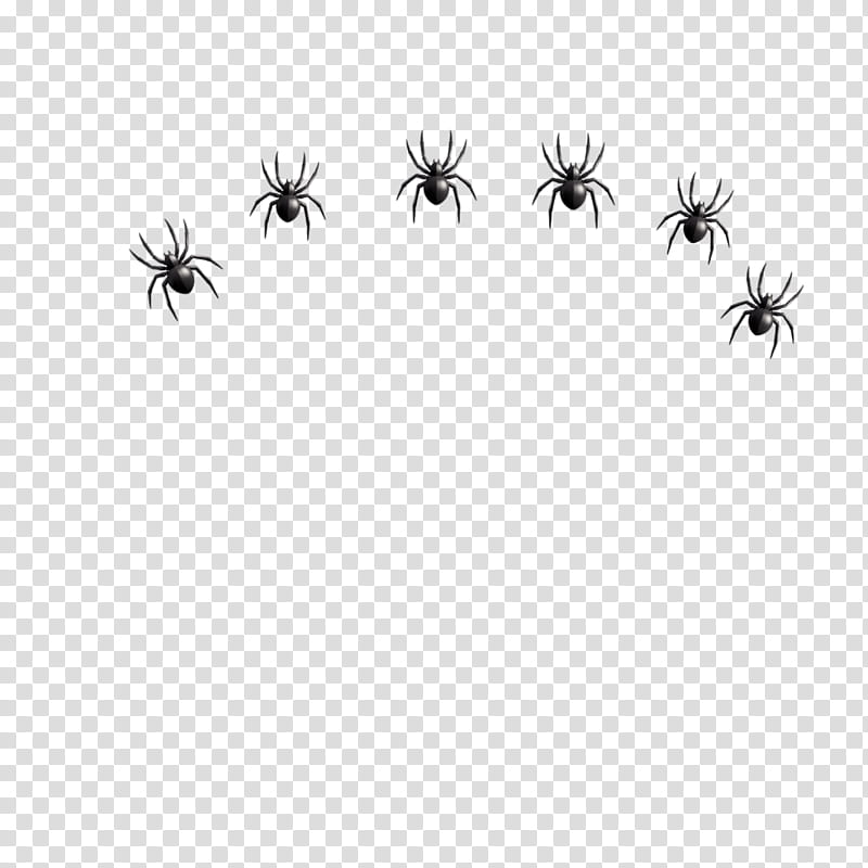 Spiders, Insect, Ant, Spider Web, Pollinator, Text, Pest, Emoji transparent background PNG clipart